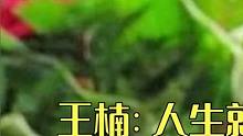 王楠：人生就像过山车，釜山惨痛失利，师姐乔红帮她巴黎重回巅峰#王楠 #国乒 #乔红 