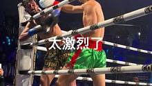 #格斗 #拳击 #世界功夫艺术中心#荣耀金腰带 太nb了@郭晨冬 @大东翔搏击俱乐部 @勇士的崛起格