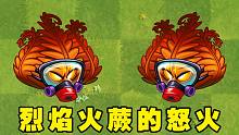 植物大战僵尸2：越气越急的烈焰火蕨，1至5阶火龙卷有多强？