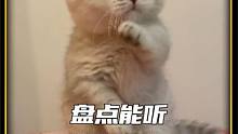盘点能听懂人话的猫狗，交流无障碍#萌宠  #狗狗  #猫咪  #听懂人话的动物 