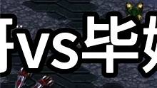 星际争霸 光哥vs毕姥爷 超精彩【2/3】 #怀旧游戏 #星际争霸 #小小马爱星际 