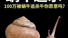 假如给你100万 但代价是被蜗牛追杀 你愿意吗？#涨知识 #科普 #脑洞
