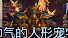 魔兽世界：十大帅气的人形宠物排名，其中一只拿着蛋刀能释放眼棱 #魔兽世界 #魔兽世界鱼蛋 #魔兽世界