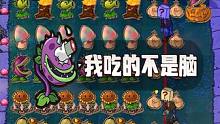 植物大战僵尸：我吃的不是脑，是人情世故 #植物大战僵尸 #pvz #这个视频破次元 