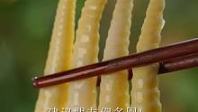 现在新品上架 价格便宜，利润很低 价格相因、味道好！像这种鲜嫩多汁的#笋尖建议朋友们多囤！#乡村里的