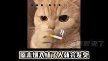 原来烟入味了会发臭#吸烟有害健康 （来源：好运每天笑哈哈）