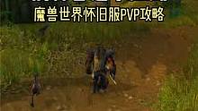 荆棘谷是个江湖 魔兽世界怀旧服PVP攻略 #魔兽世界怀旧服 #荆棘谷 #猎人
