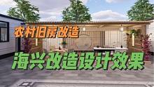 沧州海兴农村旧房改造设计效果#农村自建房 #旧房改造 #乡村振兴