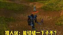 猎人问骑士能不能切磋一下子。骑士说好的。#魔兽世界怀旧服 #魔兽世界pvp
