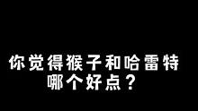 你觉得猴子和哈雷特哪个好点？