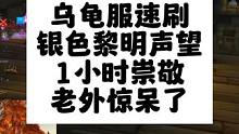 魔兽乌龟服1小时银色黎明声望崇敬，开刷吧#魔兽世界 #乌龟服