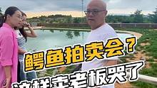 鳄鱼拍卖会，这样卖老板哭了#鳄鱼 #鳄珍 ##史前巨兽 #鳄鱼养殖场 #鳄鱼哥