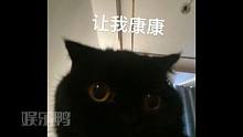 真讲究啊，躺着手还插兜里#猫咪 #可爱