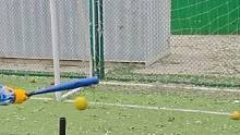 五岁小朋友的打击练习⚾️#棒垒球 #因为热爱所以坚持 #日常训练