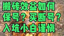 王权与自由搬砖效益如何保号买断号？千万别上当 #王权与自由 #王权与自由韩服体验就好别充钱 #王权与