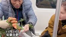 地铁上卖菜老爷爷看邻座孩子可爱，执意要把自己种的泞萝卜免费送给宝妈。拍摄者：信任和诚意是那么的美好！