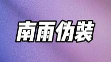 南雨伪装