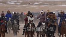 蒙古马 #蒙古马 #南方有村超北疆有马超
