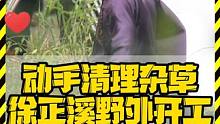 动手清理杂草 徐正溪野外开工 #徐正溪