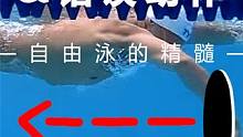 自由泳如何正确的抱水？了解错误动作，可以让你更好地掌握技巧 #自由泳 #自由泳抱水 #高肘抱水 #自