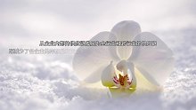 EPR主要功能（7）