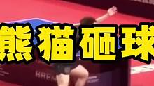 熊猫砸球 #八戒乒乓