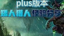 魔兽世界探索赛季,Plus,联盟猎人经验分享