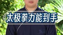 太极拳中的力能到手 #道家文化 #太极拳 #武当流湘