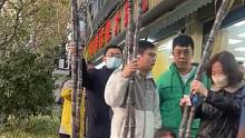 女生路过水果店门口，“甘蔗大军”氛围感拉满，忍不住想加入，“买个甘蔗买出热带雨林的感觉”    来源
