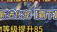 12.5三周年版本上线体验服！新进化宠【霸下】！人物等级提升至85！万年以上巨兽落地小概率不显示图标