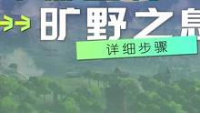 持物飞行畅游海拉鲁#塞尔达传说旷野之息 #任天堂switch #塞尔达 #这个游戏很好玩 #游戏中的