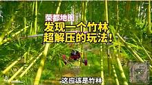 发现一个荣都竹林超解压的玩法！#绝地求生 #吴彦祖荣都分祖#2023鸡斯卡星火计划