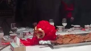 貓王爺已經(jīng)等不及了#日常 #cat #AG超玩會