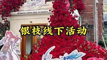 银枝的线下快闪活动：厦门场太有意境了#迷离幻夜谈 #崩坏星穹铁道 #银枝