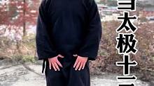 武当太极十三式完整版来了赶紧收藏起来学习吧#道家养生 #武当功夫 #太极拳