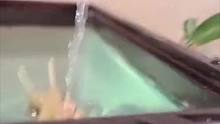 你永远不知道养了一只会向人吐口水的鱼有多无奈#小动物能有什么坏心思 #内容过于真实不接受反驳