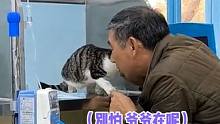 这一刻，爷爷和小猫就是彼此最好的陪伴