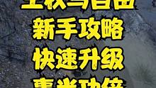 王权与自由 新手快速升级攻略！事半功倍 #王权与自由