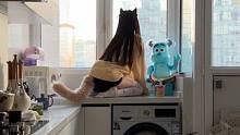 沈梦溪天天这样 是不是想挨揍了#猫咪女友 #猫咪拟人