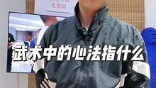 武术中的心法指的是什么？#武术 #功夫 #传统文化 #中华武术博大精深 #太极拳