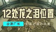 【塞尔达传说：王国之泪】12处龙之泪正确打开顺序！ #塞尔达传说 #塞尔达传说王国之泪 #任天堂sw