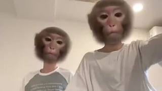 越南的歌曲真的都很有自己的想法和巧思#身材焦慮 #萬萬沒想到 #嗎嘍舞 #搞笑