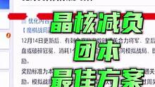 晶核减负团本最佳方案，你觉得怎么样呢？#晶核 #杨幂代言晶核
