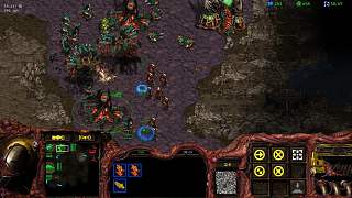12-14 ZVP VS 郭倩 2