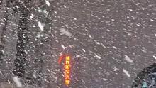 下雪啦！这才有冬天的感觉#今天的雪下到你的城市了吗 #今冬最大范围降雪来袭 #漫天飞雪 #冬天该有的