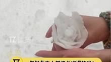来个#北方人告诉我，是不是做这个雪玫瑰真的这么简单啊！#下雪#浪漫