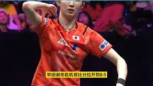陈梦再战早田希娜,决胜局双方一度打成11比11,结果让全场都看傻眼3
