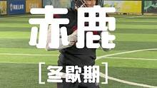 冬歇期 期待更多新人加入 备战2024#冬训 #美式橄榄球 #football #橄榄球