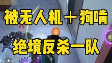 这就是迷雾加Echo的魅力，绝境反打一队！ #使命召唤手游 #CODM凛冬节 #游戏日常 #游戏流量