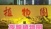 大雪过后邯郸冰天雪地，广大跑友苦于无跑步场地，今天夜探植物园，且看植物园跑道如何？#夜走 #马拉松 
